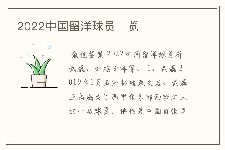 2022中国留洋球员一览