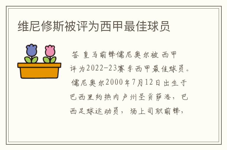 维尼修斯被评为西甲最佳球员