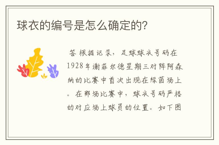 球衣的编号是怎么确定的？