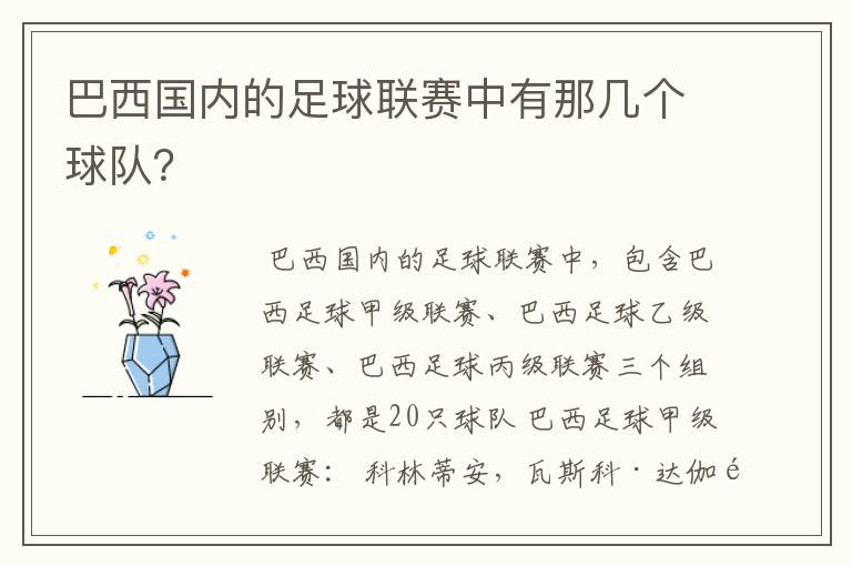 巴西国内的足球联赛中有那几个球队？