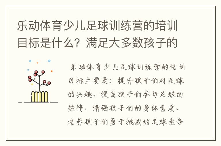 乐动体育少儿足球训练营的培训目标是什么？满足大多数孩子的发展要求吗？