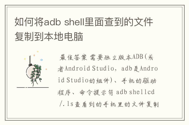 如何将adb shell里面查到的文件复制到本地电脑