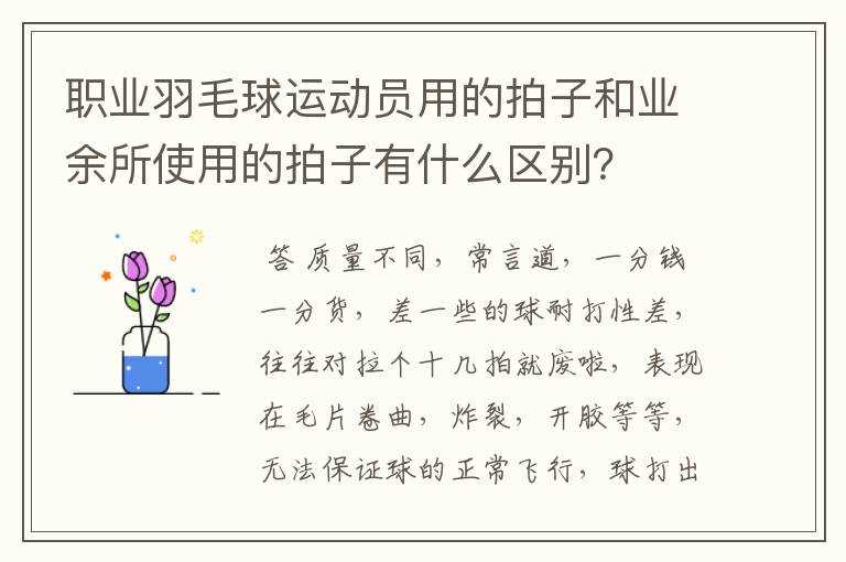 职业羽毛球运动员用的拍子和业余所使用的拍子有什么区别？