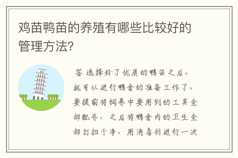 鸡苗鸭苗的养殖有哪些比较好的管理方法？