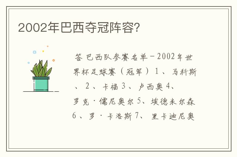 2002年巴西夺冠阵容？