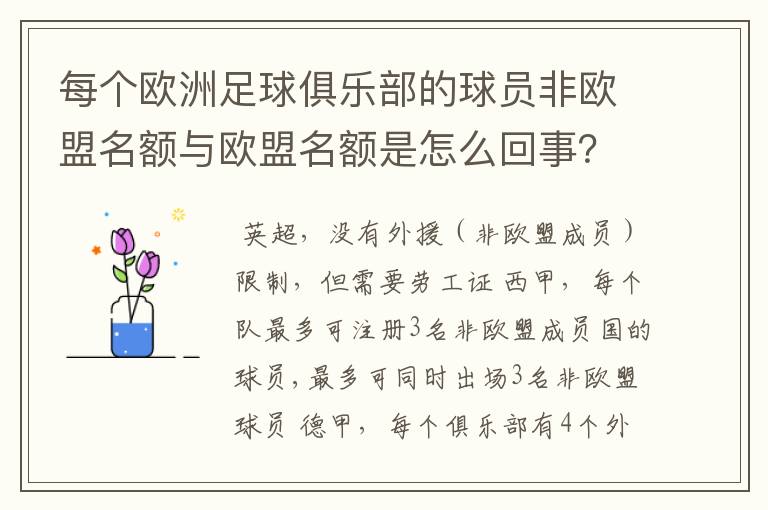 每个欧洲足球俱乐部的球员非欧盟名额与欧盟名额是怎么回事？