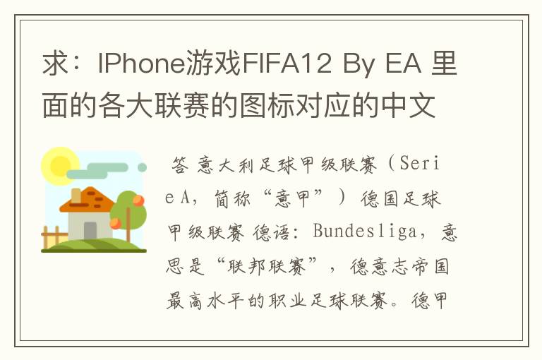 求：IPhone游戏FIFA12 By EA 里面的各大联赛的图标对应的中文名称 例如：Liga BBVA 西甲