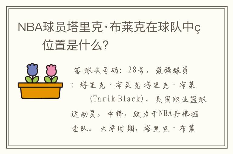 NBA球员塔里克·布莱克在球队中的位置是什么？