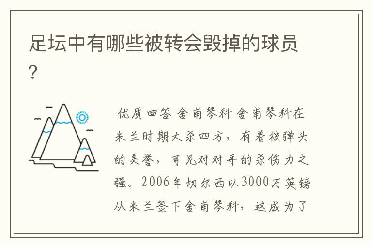 足坛中有哪些被转会毁掉的球员？