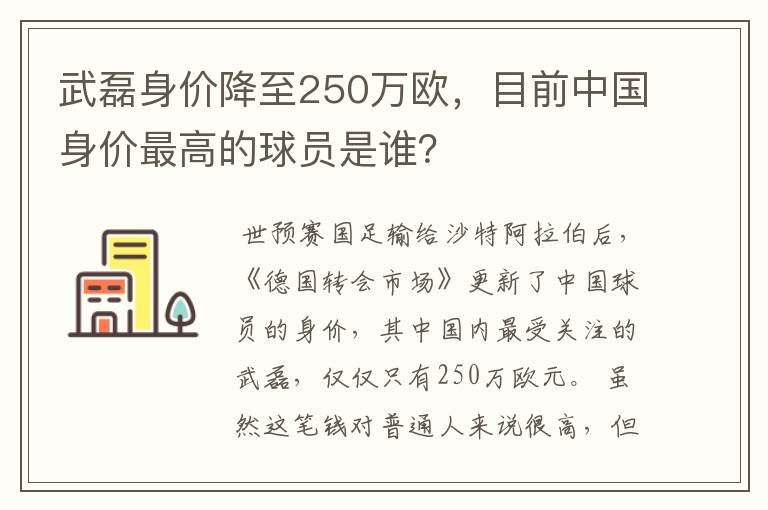 武磊身价降至250万欧，目前中国身价最高的球员是谁？