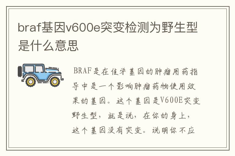 braf基因v600e突变检测为野生型是什么意思