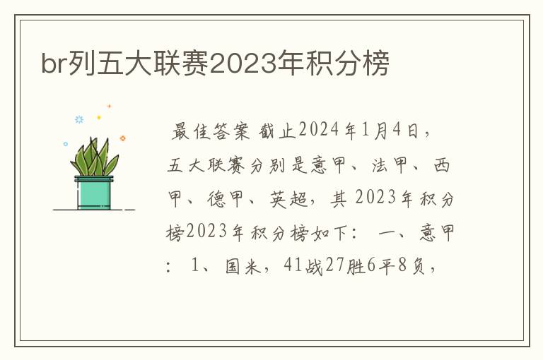 br列五大联赛2023年积分榜