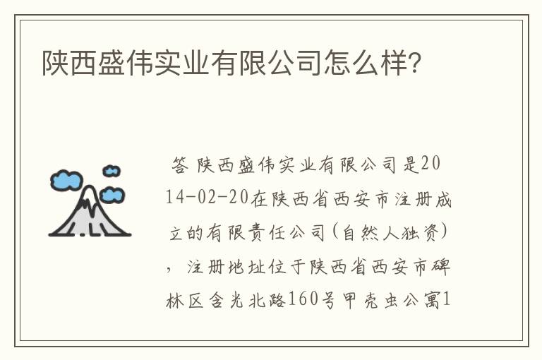 陕西盛伟实业有限公司怎么样？