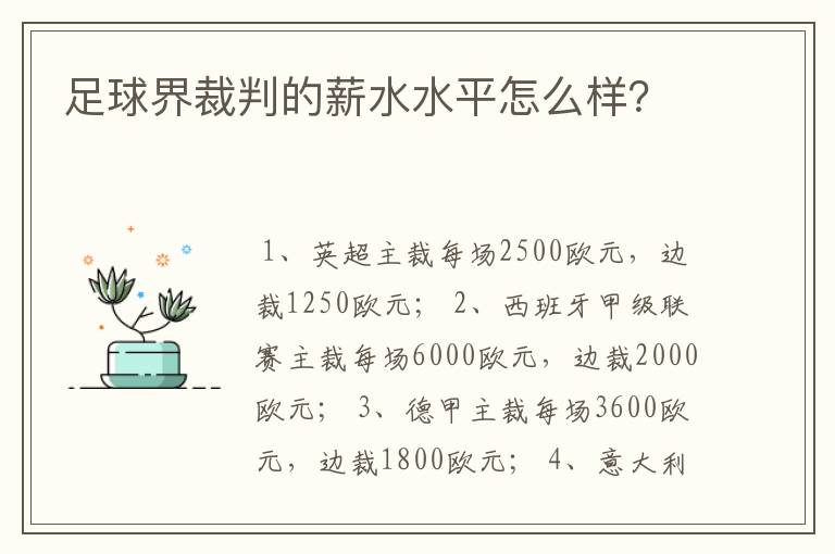 足球界裁判的薪水水平怎么样？