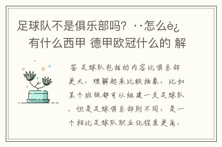 足球队不是俱乐部吗？··怎么还有什么西甲 德甲欧冠什么的 解释一下？