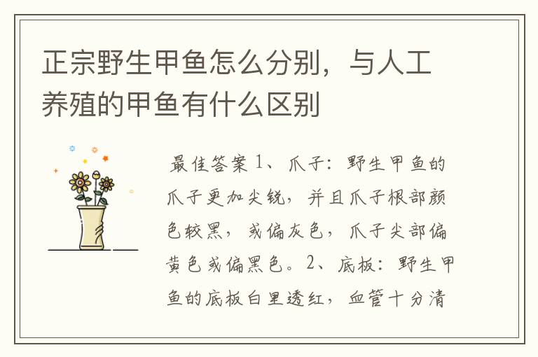 正宗野生甲鱼怎么分别，与人工养殖的甲鱼有什么区别