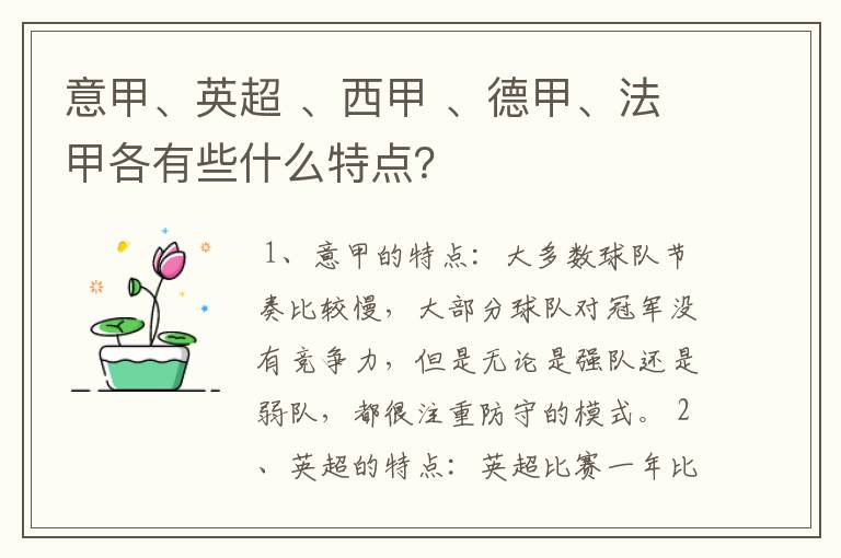 意甲、英超 、西甲 、德甲、法甲各有些什么特点？