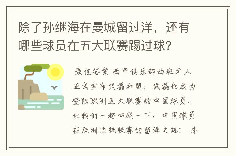 除了孙继海在曼城留过洋，还有哪些球员在五大联赛踢过球？