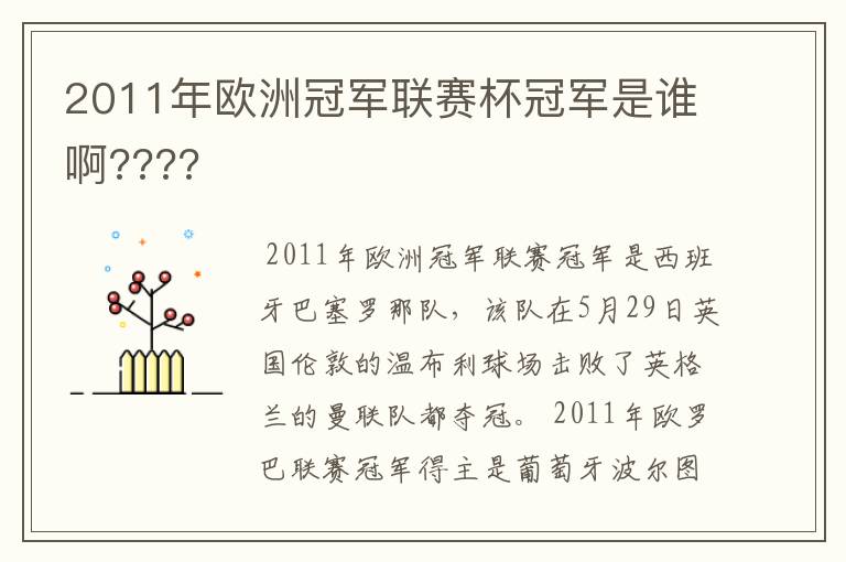 2011年欧洲冠军联赛杯冠军是谁啊????