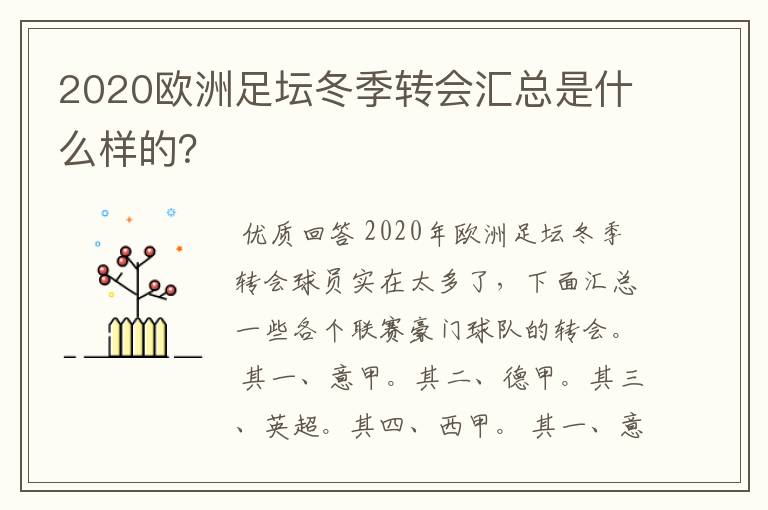 2020欧洲足坛冬季转会汇总是什么样的？