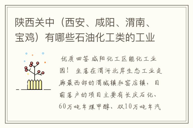 陕西关中（西安、咸阳、渭南、宝鸡）有哪些石油化工类的工业园区？