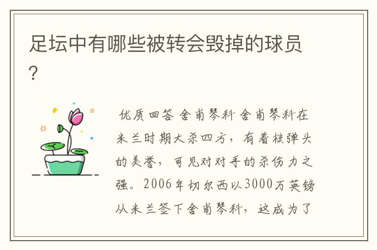 足坛中有哪些被转会毁掉的球员？