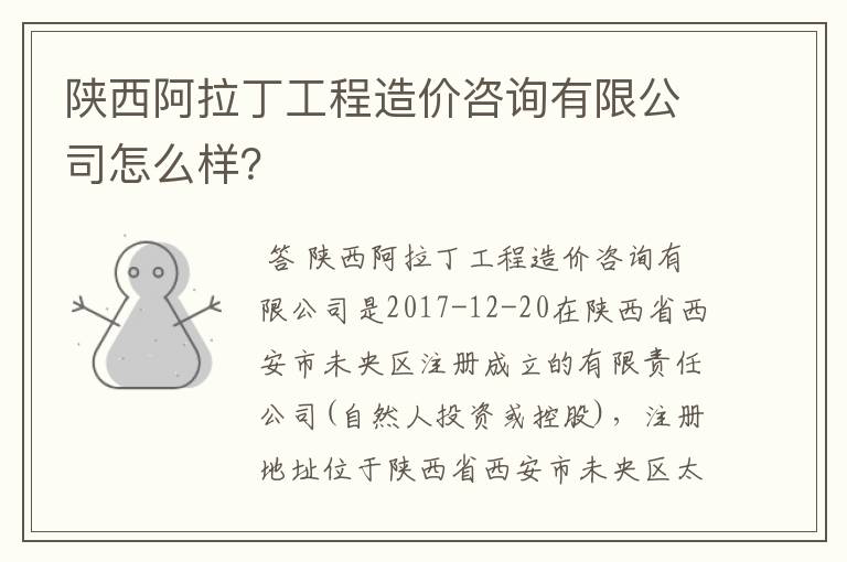 陕西阿拉丁工程造价咨询有限公司怎么样？