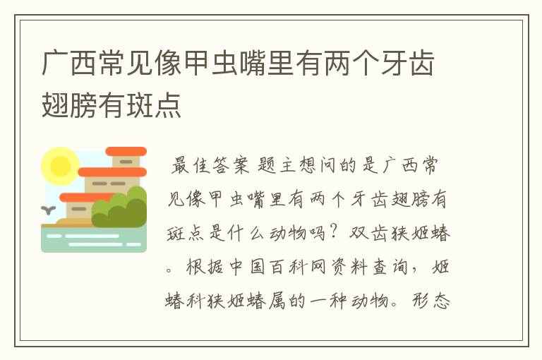 广西常见像甲虫嘴里有两个牙齿翅膀有斑点