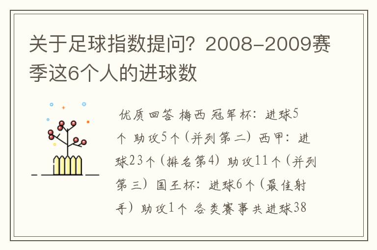 关于足球指数提问？2008-2009赛季这6个人的进球数