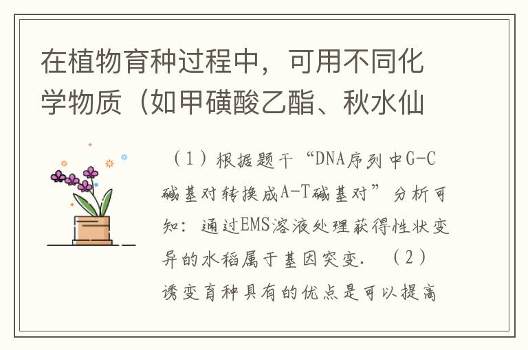 在植物育种过程中，可用不同化学物质（如甲磺酸乙酯、秋水仙素）处理获得新品种．甲磺酸乙酯（EMS）能使