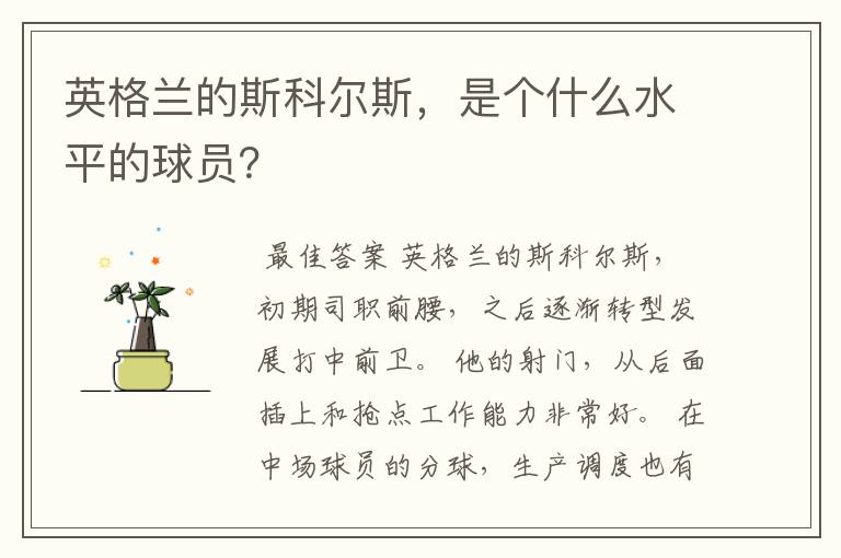 英格兰的斯科尔斯，是个什么水平的球员？