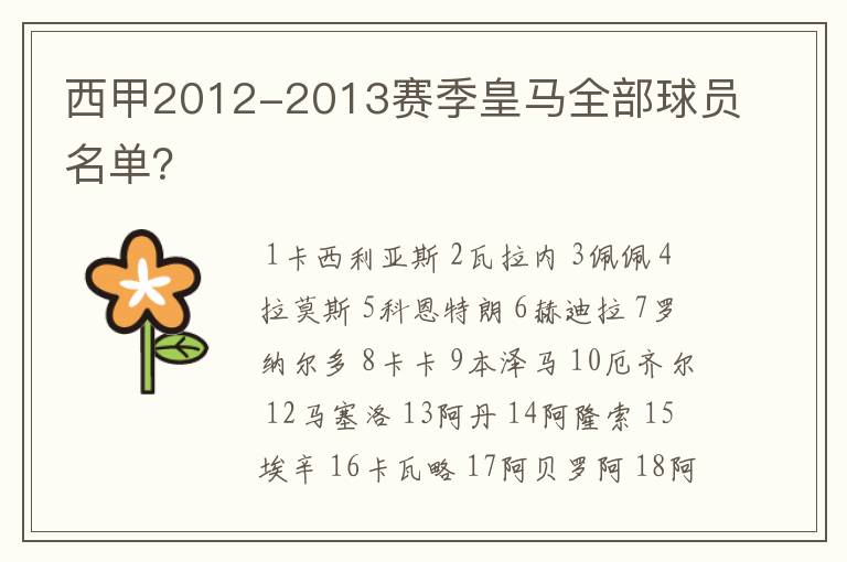 西甲2012-2013赛季皇马全部球员名单？