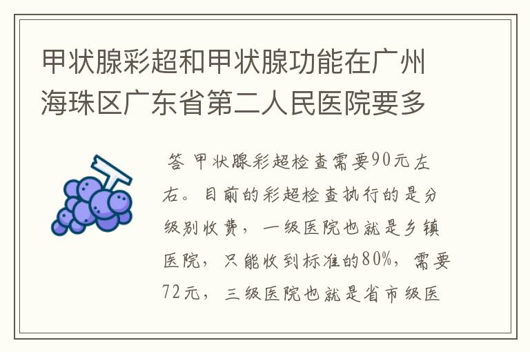 甲状腺彩超和甲状腺功能在广州海珠区广东省第二人民医院要多少钱？