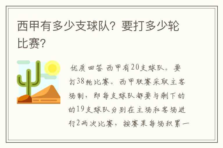 西甲有多少支球队？要打多少轮比赛？