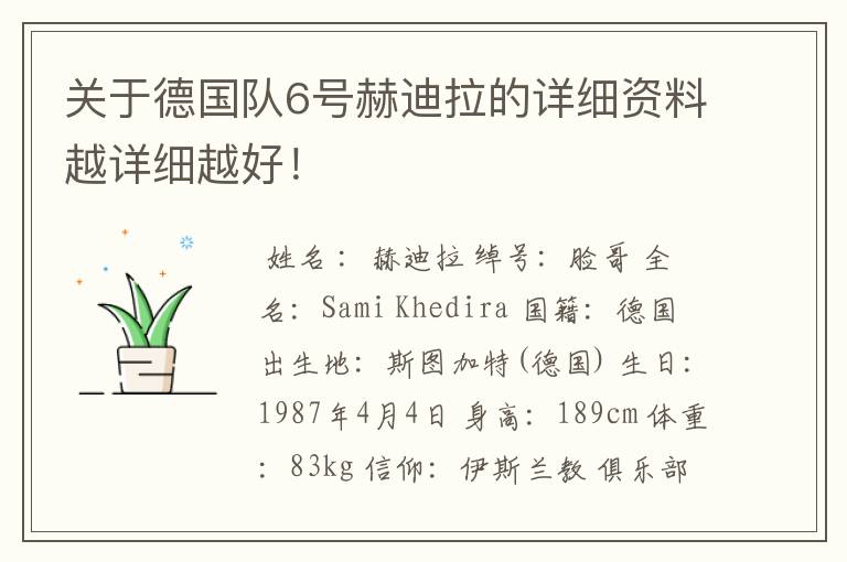 关于德国队6号赫迪拉的详细资料越详细越好！