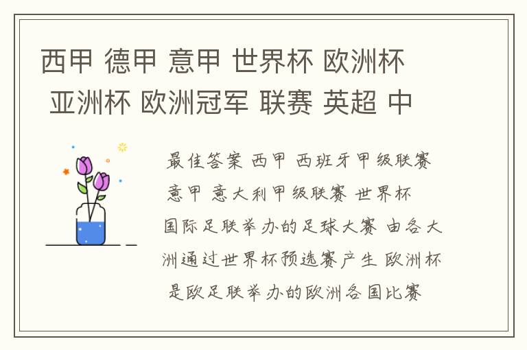 西甲 德甲 意甲 世界杯 欧洲杯 亚洲杯 欧洲冠军 联赛 英超 中超  分别是什么意思啊？