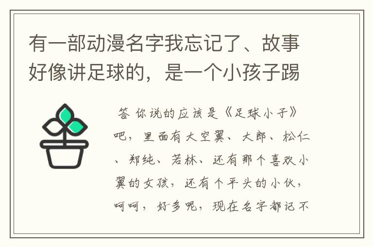 有一部动漫名字我忘记了、故事好像讲足球的，是一个小孩子踢得很厉害，跟其他伙伴一起玩足球