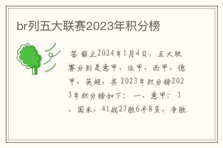 br列五大联赛2023年积分榜