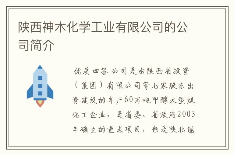 陕西神木化学工业有限公司的公司简介