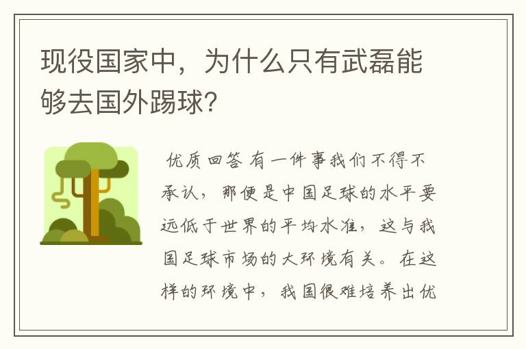 现役国家中，为什么只有武磊能够去国外踢球？