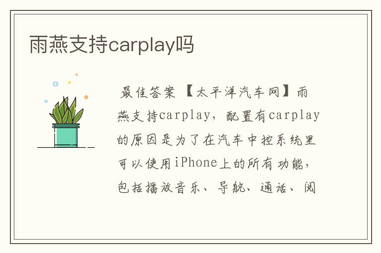 雨燕支持carplay吗