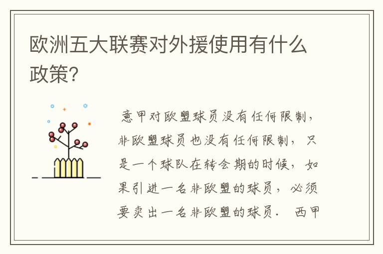 欧洲五大联赛对外援使用有什么政策？