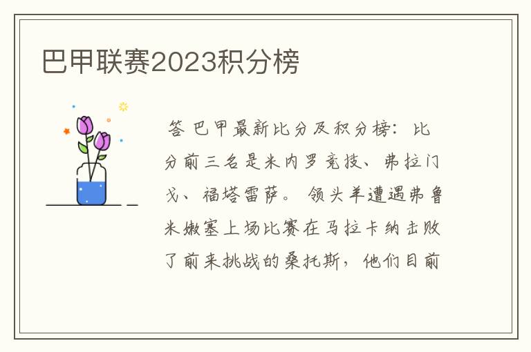 巴甲联赛2023积分榜