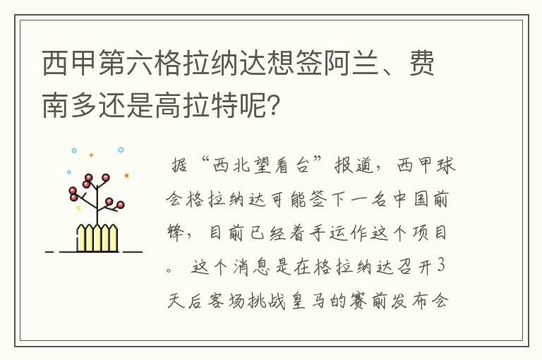 西甲第六格拉纳达想签阿兰、费南多还是高拉特呢？