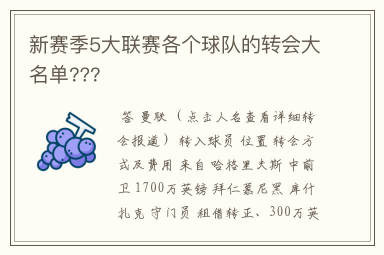 新赛季5大联赛各个球队的转会大名单???