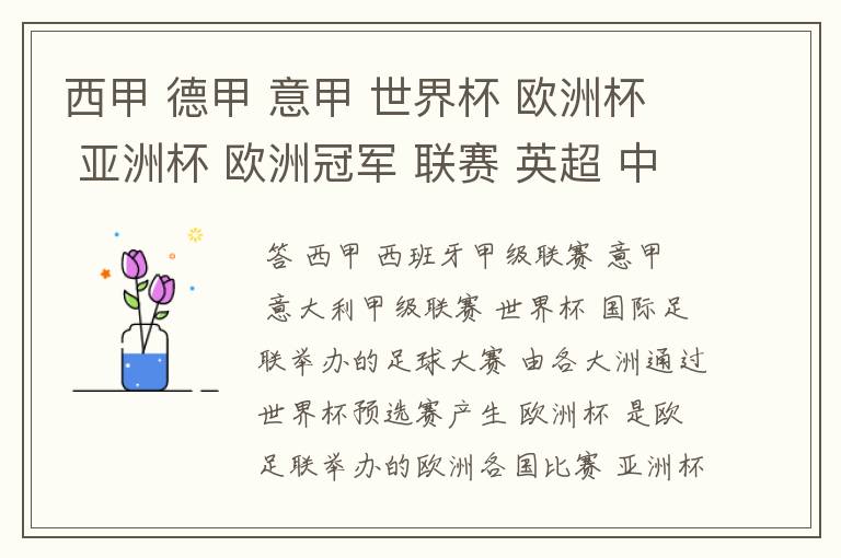 西甲 德甲 意甲 世界杯 欧洲杯 亚洲杯 欧洲冠军 联赛 英超 中超  分别是什么意思啊？