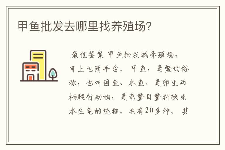 甲鱼批发去哪里找养殖场？