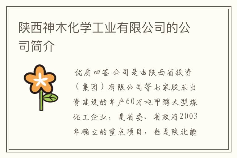 陕西神木化学工业有限公司的公司简介