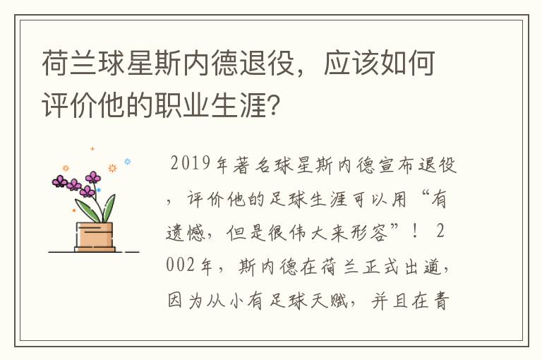 荷兰球星斯内德退役，应该如何评价他的职业生涯？