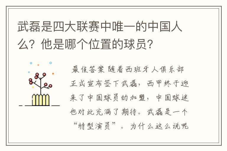 武磊是四大联赛中唯一的中国人么？他是哪个位置的球员？